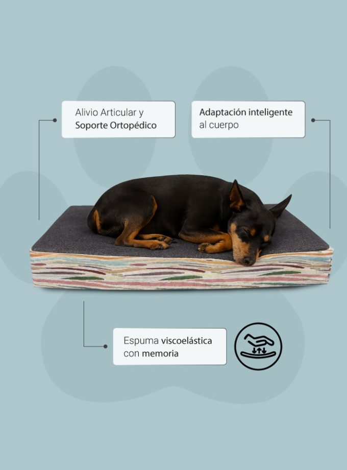Cama Viscoelástica para Mascotas – Estilo Artístico con Superficie Gris Oscuro y ZENSA®