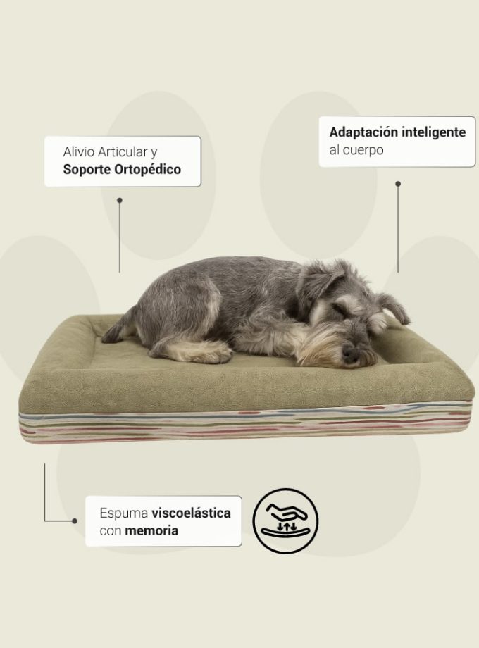 Cama Rectangular para Mascotas. Superficie Verde con Contorno Curvo de Líneas Irregulares Neutras