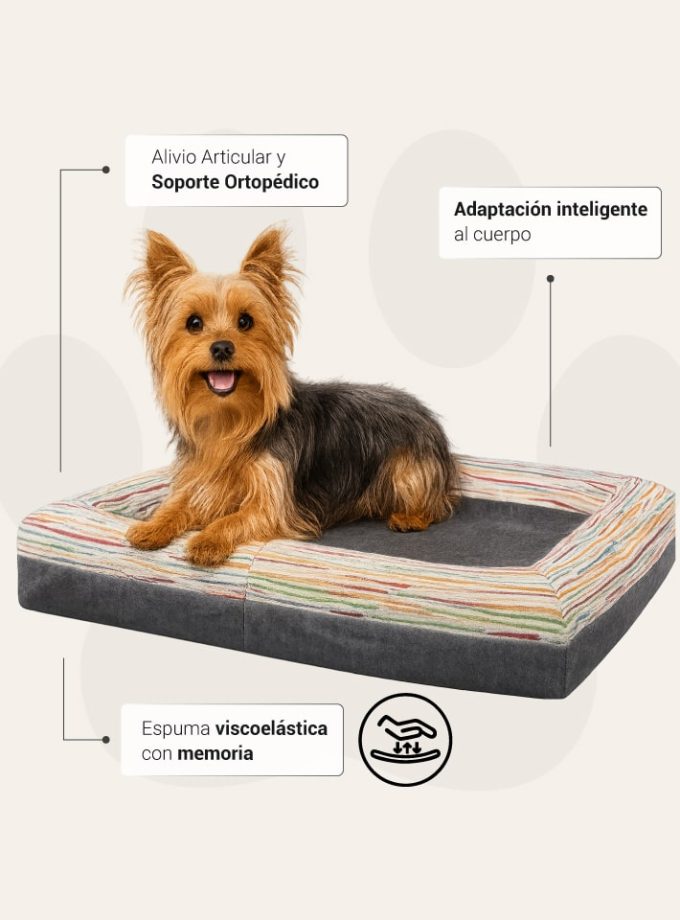 Cama Rectangular Gris Oscuro para Mascotas – Contorno con Diseño Irregular Neutro y Espuma ZENSA®