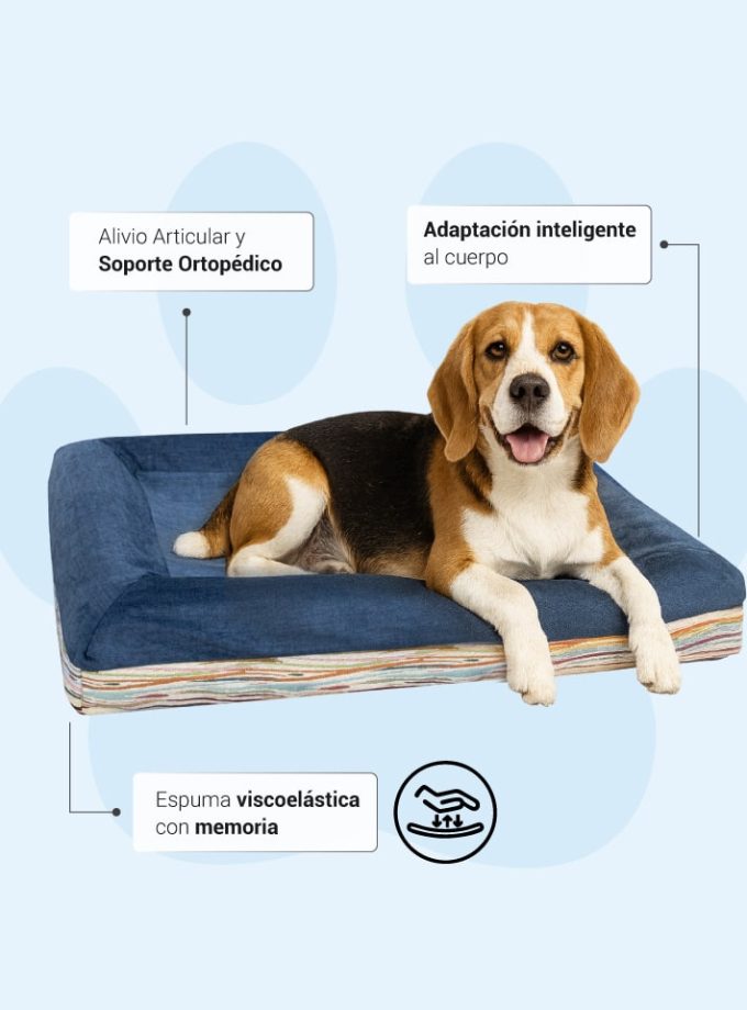 ama Rectangular Azul Oscuro para Mascotas – Contorno Curvo con Diseño de Líneas Neutras